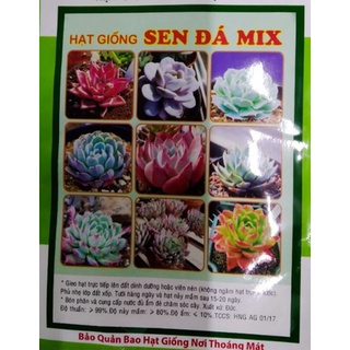 Tay bóp bình xịt Dudaco shopVTNN