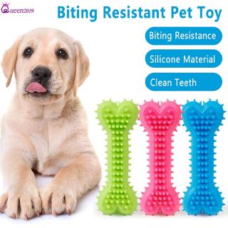 Ready Pet Dog Chew Teeth Clean TPR Toys Puppy Molar Chewing Treat Training Rubber Tooth Cleaning Bone Toy Queen