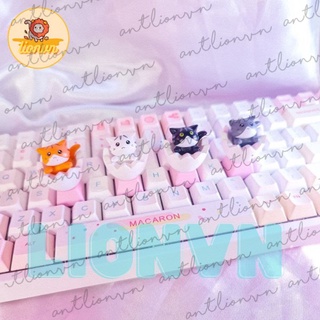 Mua Keycap lẻ hình Mèo Con Trong Trứng siêu dễ thương Keycap Lionvn