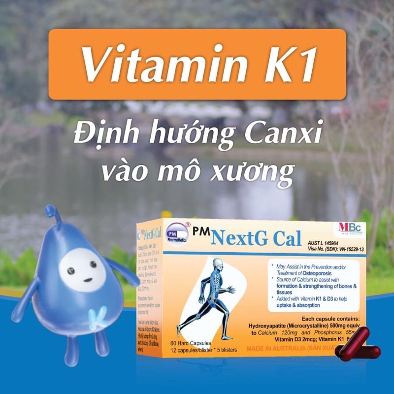 NEXTG CAL HỘP 60V