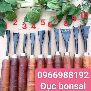 Bộ đục cây cảnh bonsai 10 cây mài sắc chất liệu thép tôi