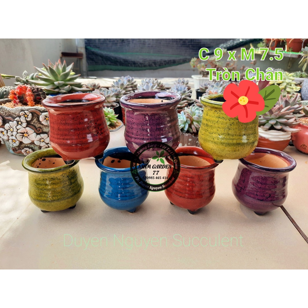 Chậu tròn nhỏ 4 màu sắc trồng sen đá, xương rồng. Kích thước 10 x 7