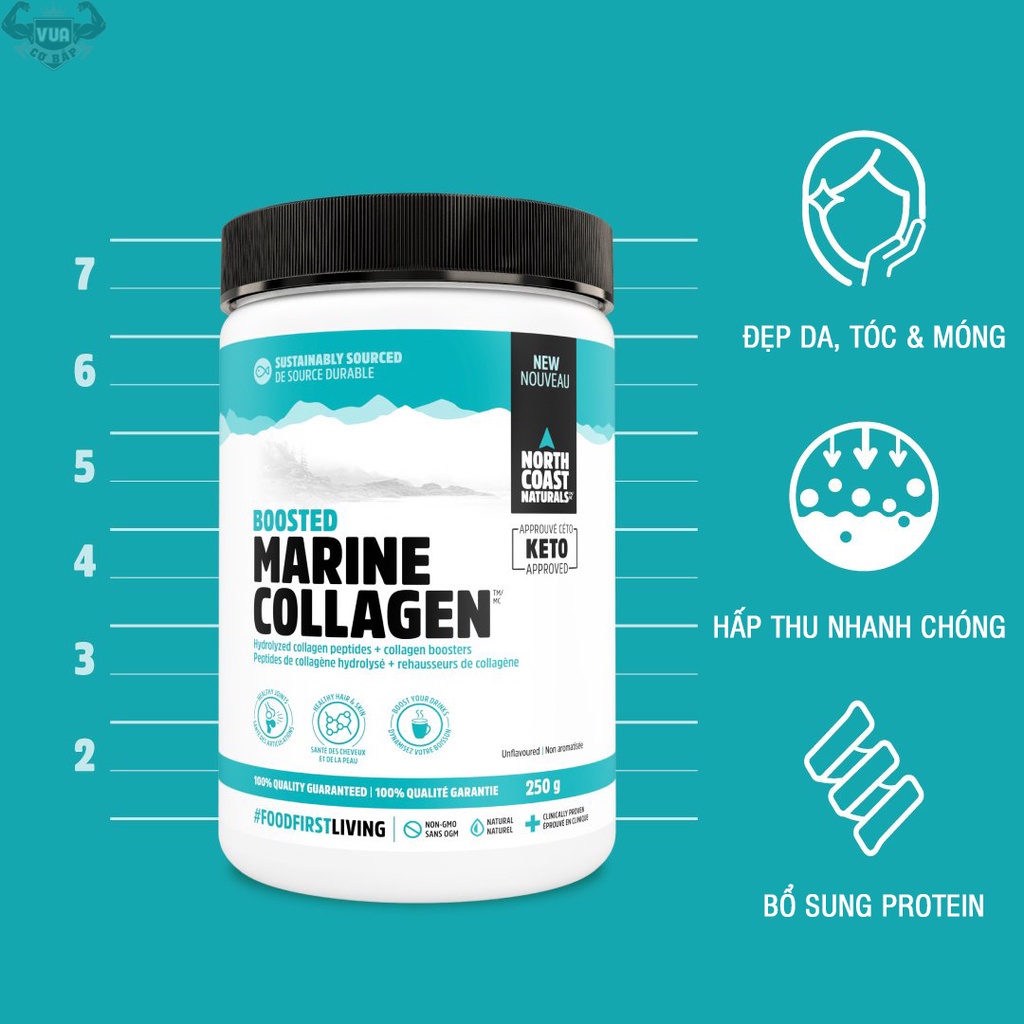 Bột Collagen Boosted Marine Collagen North Coast Naturals Hộp 250g