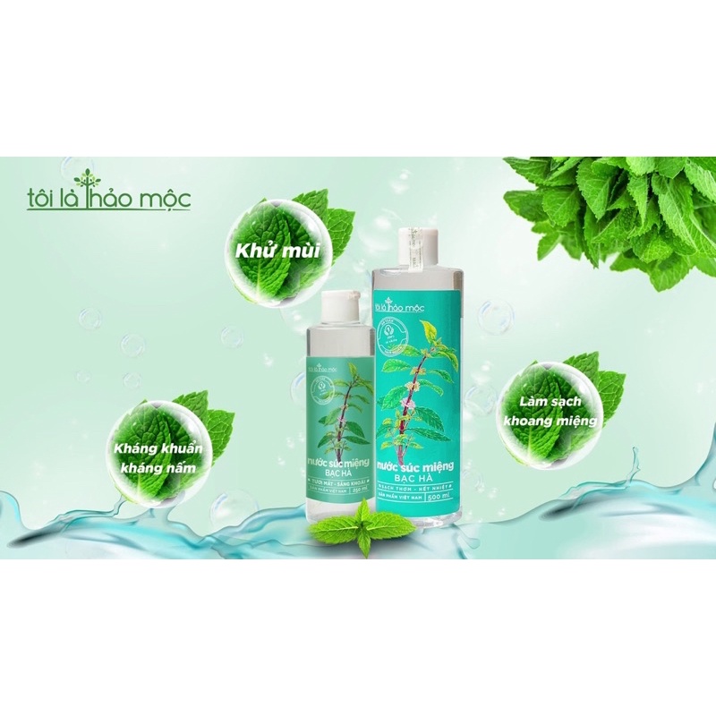 SÚC MIỆNG BẠC HÀ TUỆ VIÊN