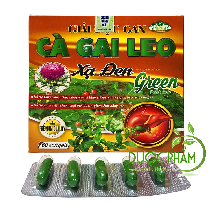 Cà gai leo xạ đen giải độc gan( vỉ 60 viên)