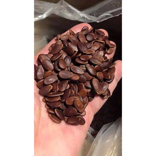 Hạt Dưa Không Màu Rang Muối Loại 500g