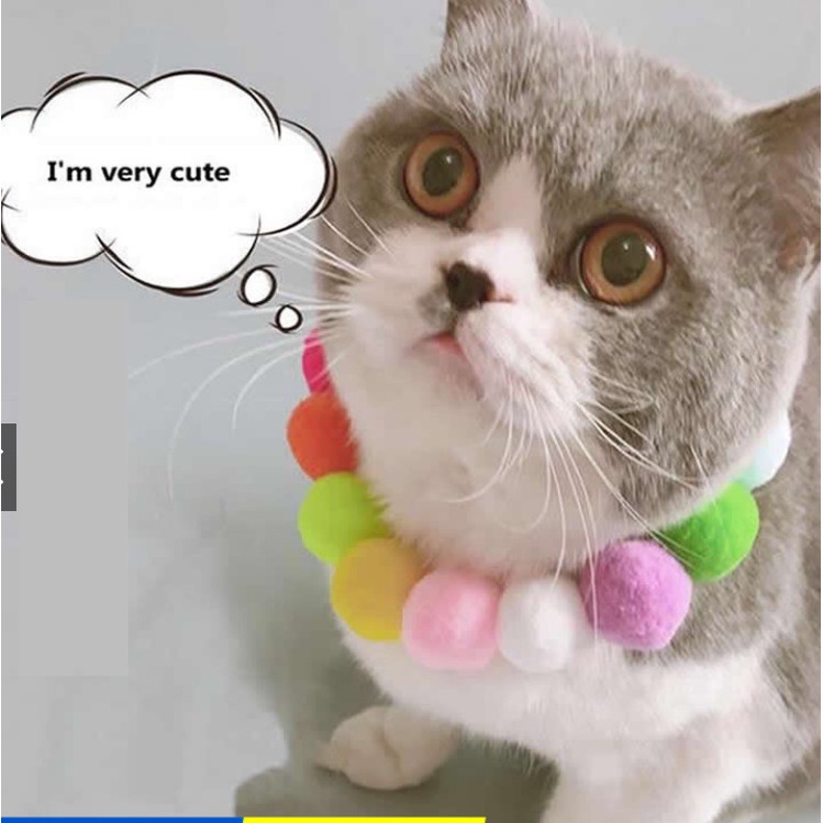 VÒNG CỔ HẠT BÔNG TRÒN CÓ CHUÔNG CHO MÈO