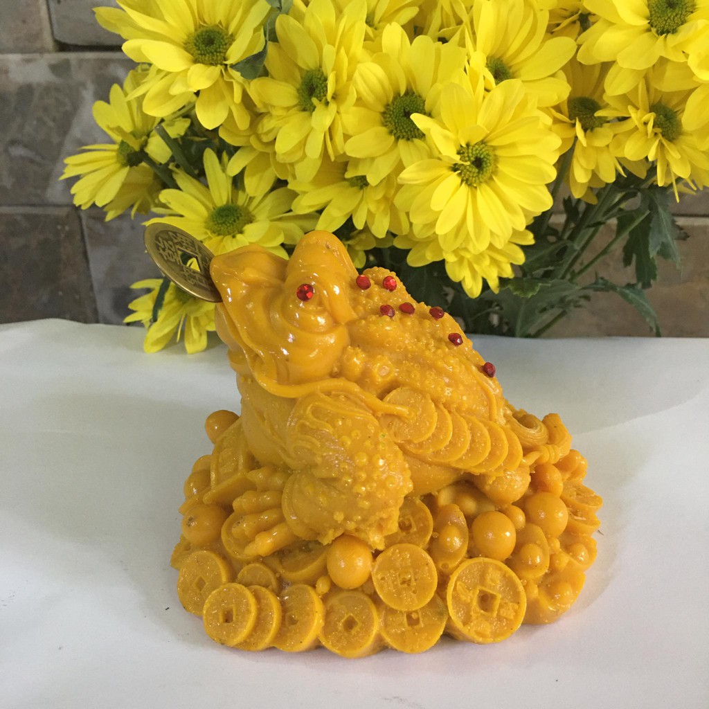 Cóc ngậm tiền mang tài lộc màu vàng cao 8 cm x rộng 10 cm chỉ 99k