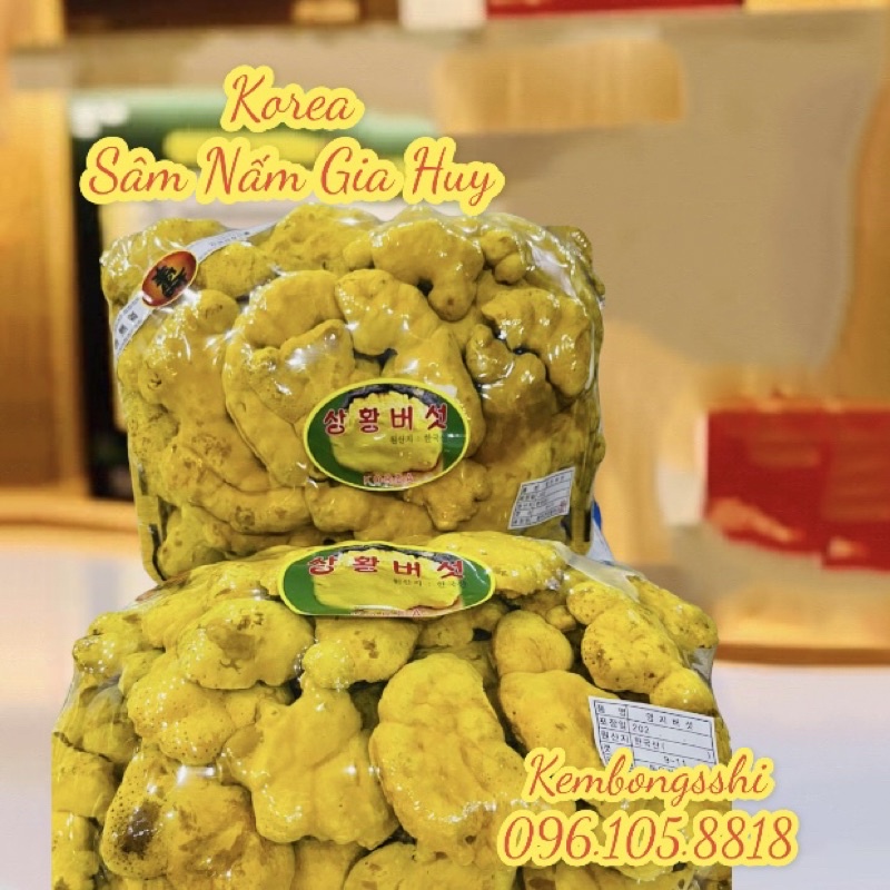 [HÀNG MỚI VỀ] Khay Nấm Thượng Hoàng Cao Cấp Hàn Quốc, khay 500gr