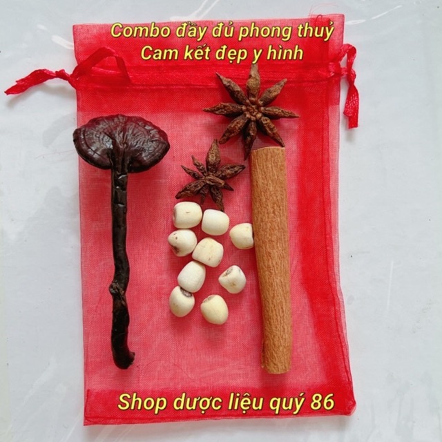Set Thu Hút Tài Lộc Mua May Bán Đắt Nấm Linh Chi rừng + hạt sen + hoa hồi + quế thanh
