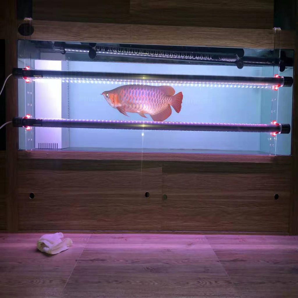 Giá kẹp đèn tanning cá rồng an toàn aerofin