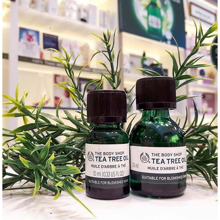 Tinh dầu tràm trà THE BODY SHOP Tea Tree Oil Làm Xẹp Mụn Giảm Viêm Hiệu Quả Sau 1 Đêm (10ml)