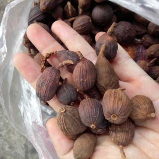 Thảo quả khô