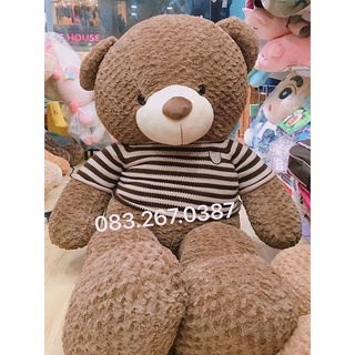 Gấu bông teddy texas 1m4, 1m8