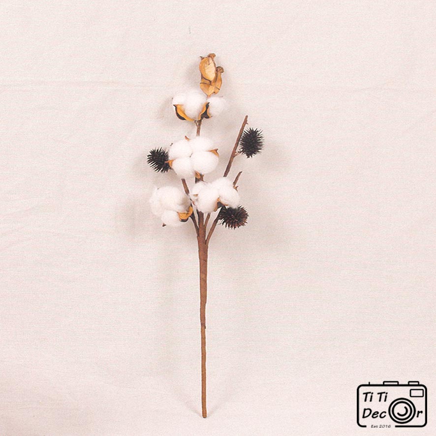 Bông hoa gòn trang trí chrismast, giáng sinh, noel, xmas, tiểu cảnh, hoa khô, mẫu cành nhiều bông – Titi decor