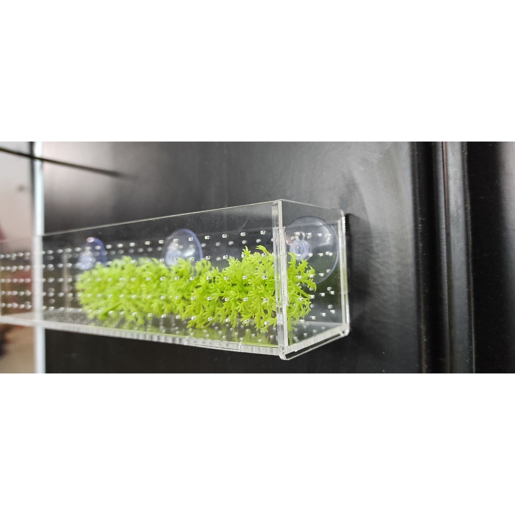 Khay phân nền mica hít kính hồ thuỷ sinh (30x10x10)