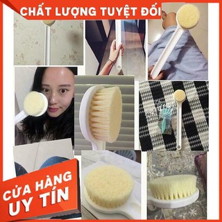 CÂY CỌ LƯNG MUJI NHẬT BẢN