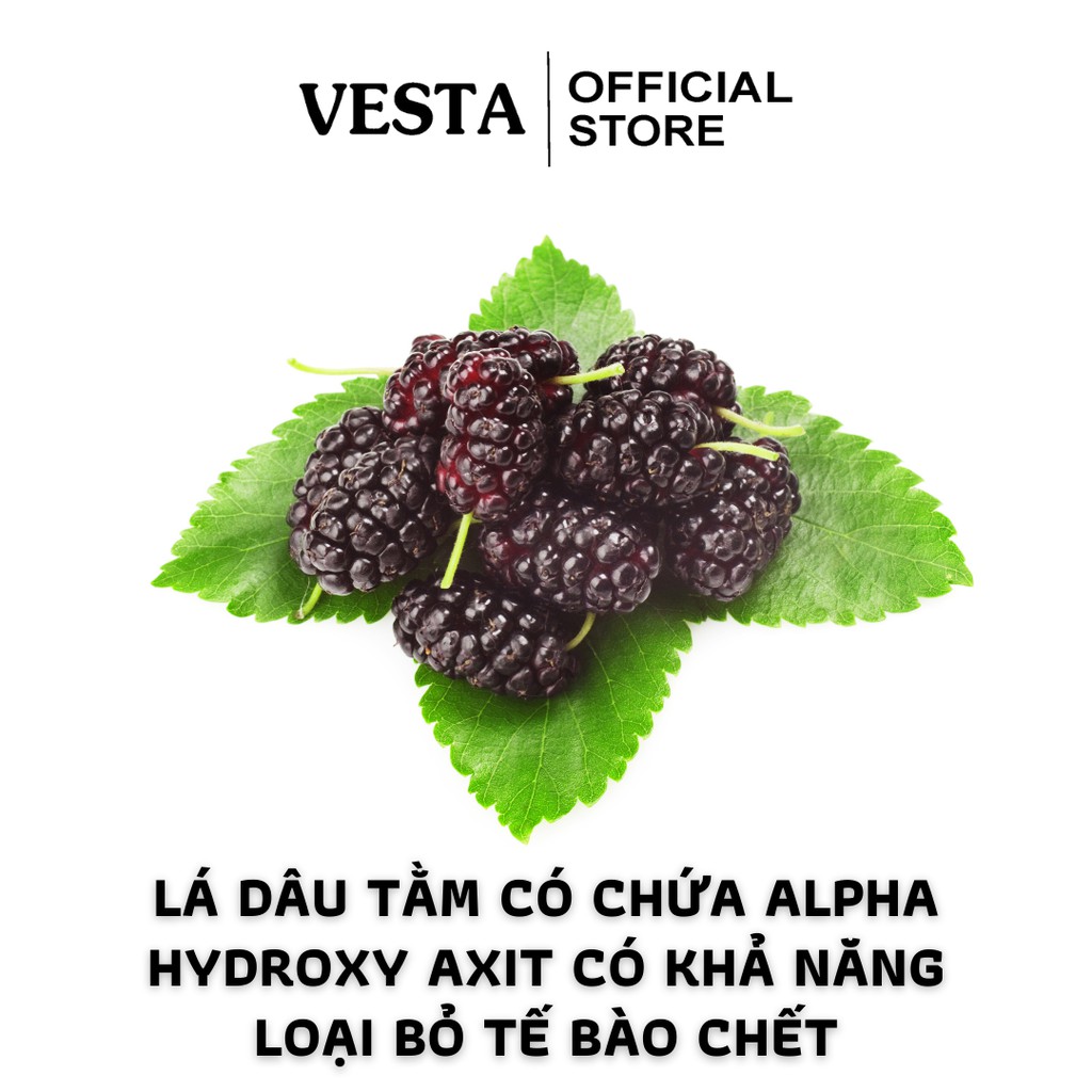 Bột Lá Dâu Tằm Nguyên Chất Vesta 100g