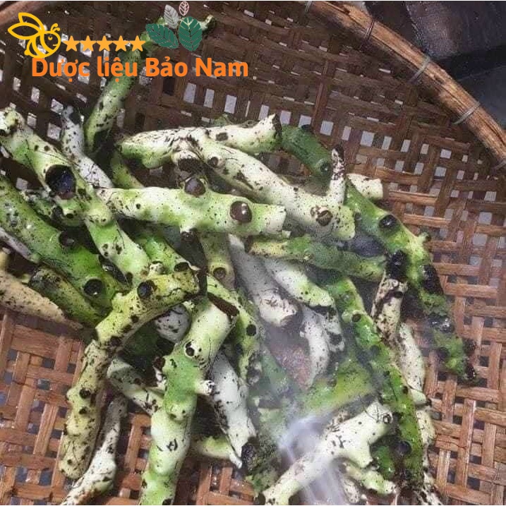 Tắc Kè Đá  tươi Tây Bắc 1kg