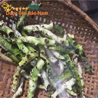Tắc kè đá tươi tây bắc 1kg
