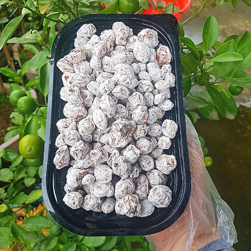 Ô mai Mơ Xí Muội chua - mặn - ngọt hộp 300gr và 500gr