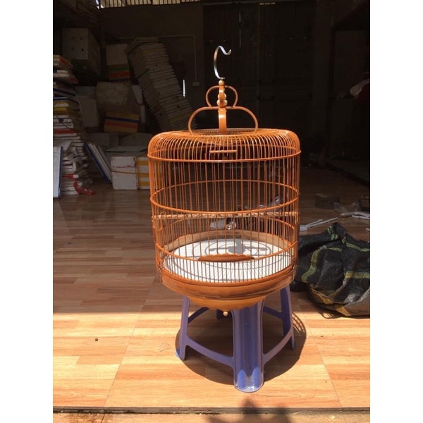 Lồng Choè Than From Lùn Kèm Pk Ảnh Thật