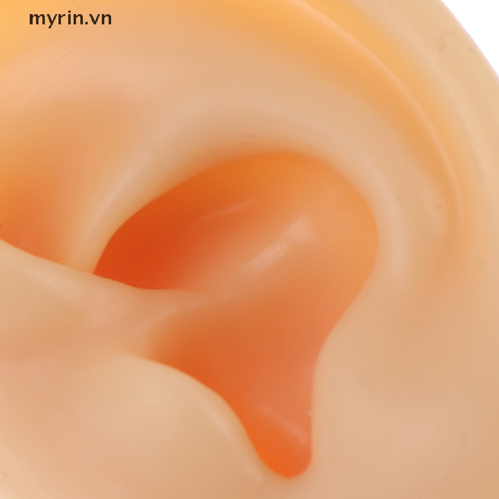 1 Mô Hình Silicone Dùng Luyện Tập Xỏ Khuyên Tai
