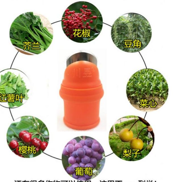 Bộ móng hái rau