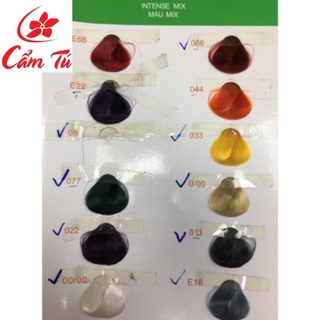Thuốc Nhuộm Tóc Everflo - mpcamtu
