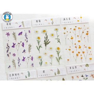 Bộ PET sticker HOA CỎ MÙA XUÂN