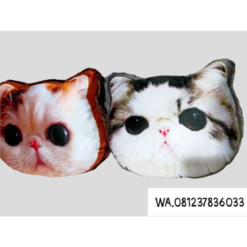 Gối Mèo 3d