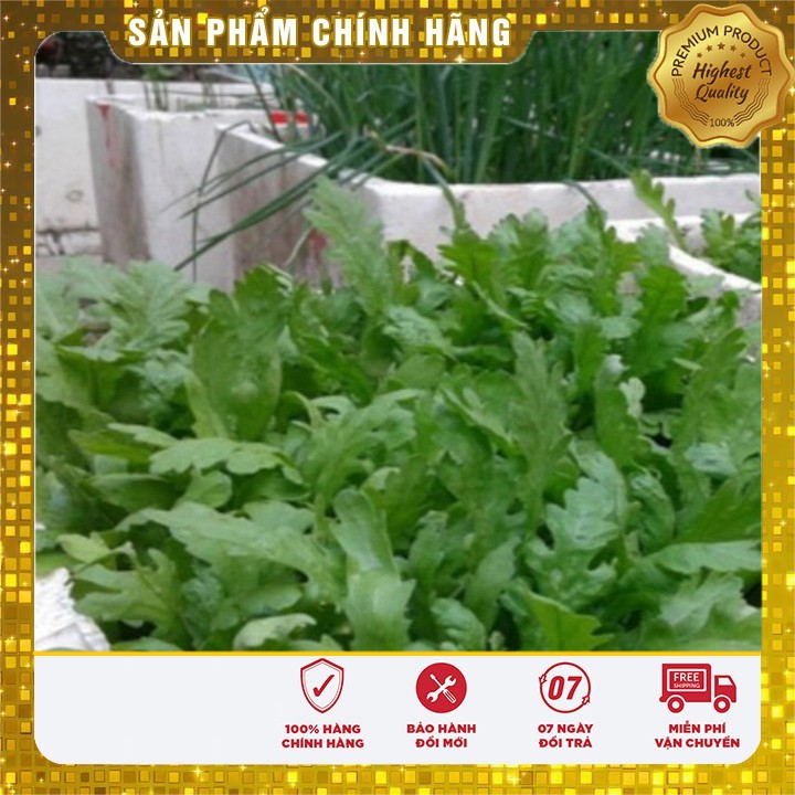 Hạt Giống Rau Cải Cúc Tẻ (20gr)
