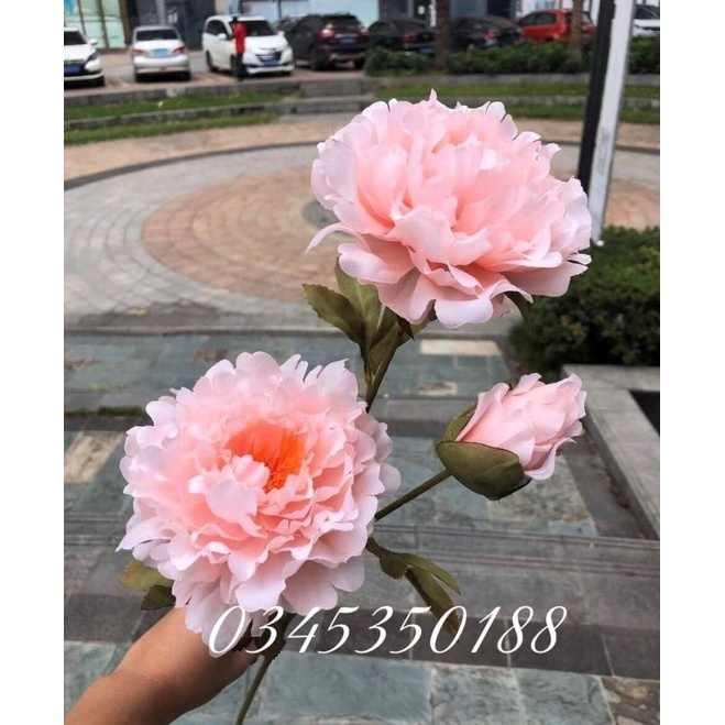 Hoa giả / Cành Hoa Mẫu Đơn Peony Hàn Quốc 2 bông 1 nụ bông lớn cánh hoa mềm mại giống thật hàng cao cấp