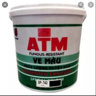 Ve atm màu đen