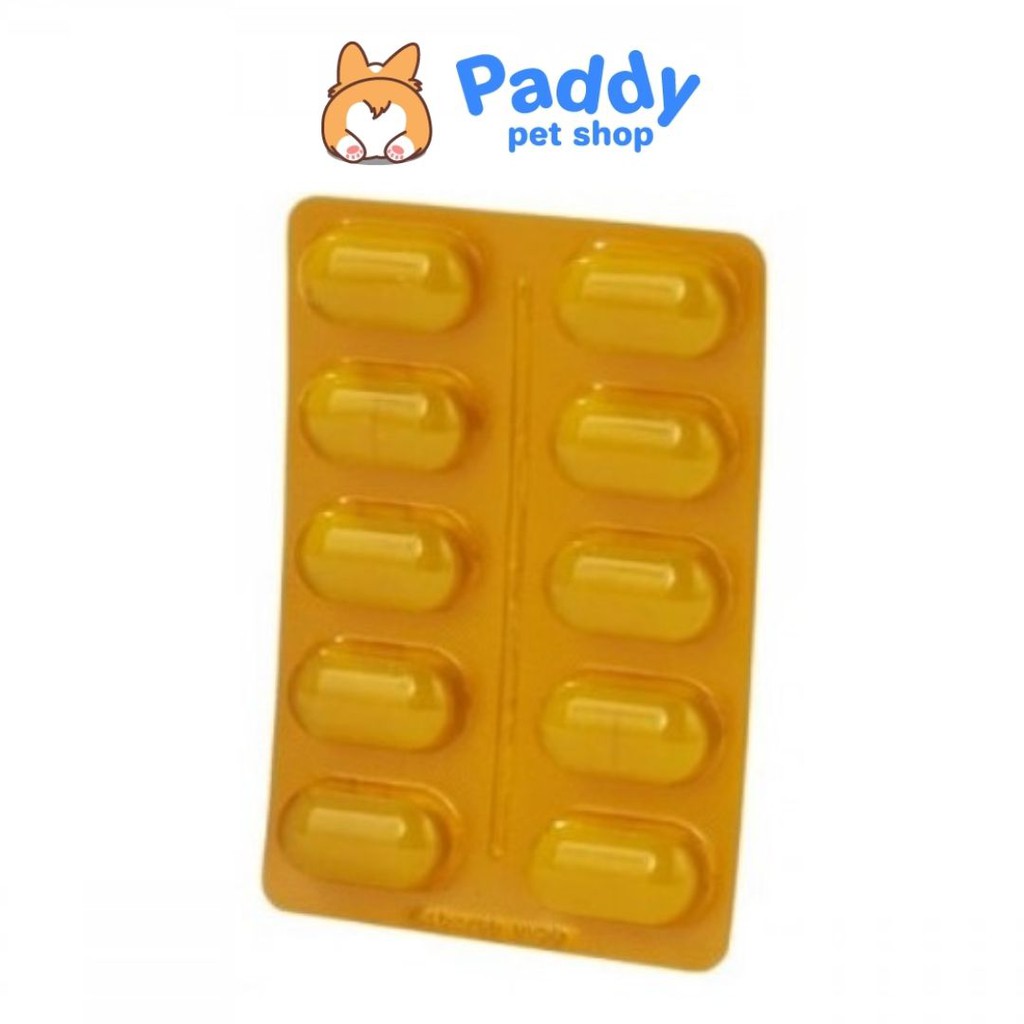 Viên Canxi & Khoáng Chất Ngon Miệng Cho Chó Virbac Calci Delice