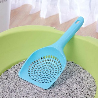 Xẻng xúc cát hốt phân vê sinh cho mèo