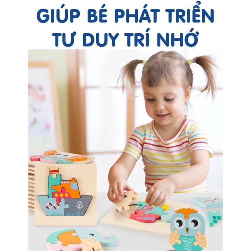 Bộ Ghép Hình Gỗ Cao Cấp