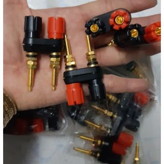 Bài loa hoa sen đôi dài 6 cái 120k