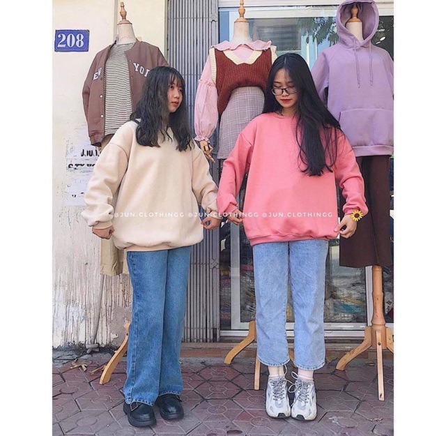 Áo Tay Dài Color Hoodie hàng nhập quảng châu đủ màu chất vải ni lót lông dày from chuẩn from rộng - áo couple áo đôi