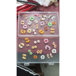sét 20 hoa bột nail