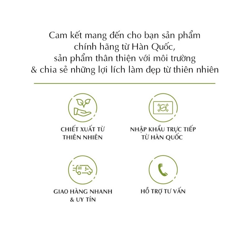 Mặt Nạ TheFaceShop Real Nature (linh chi,chanh,lựu,trà xanh,bơ,nha đam)20g