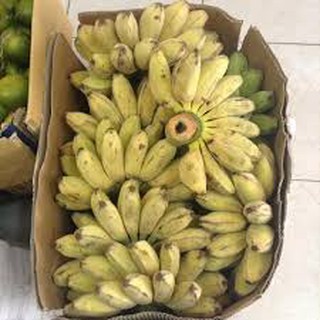 Chuối Sáp Miền Tây