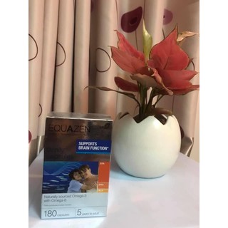 Túi xách công sở