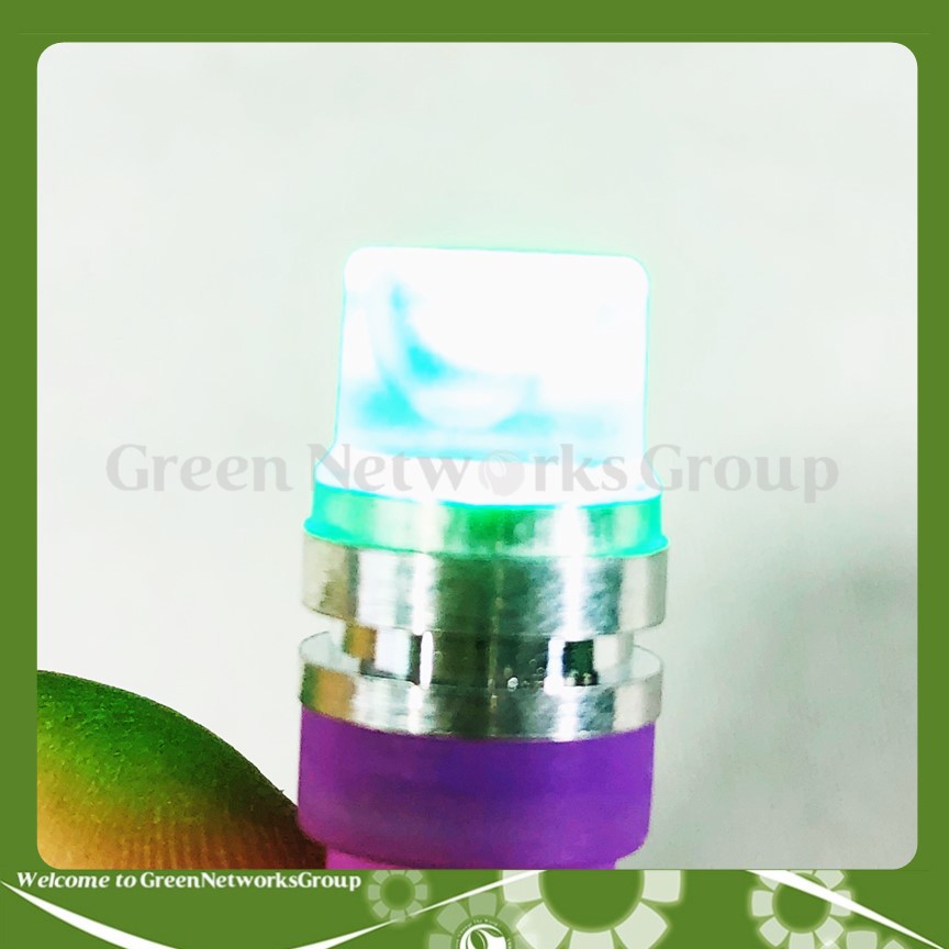 Đèn xi nhan chân ghim T10 chớp ánh sáng 7 màu Greennetworks