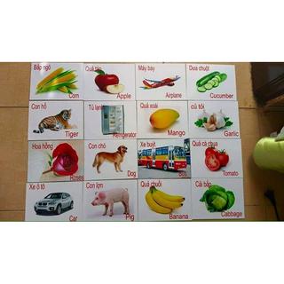 Bộ 60 thẻ học bài cho bé iu