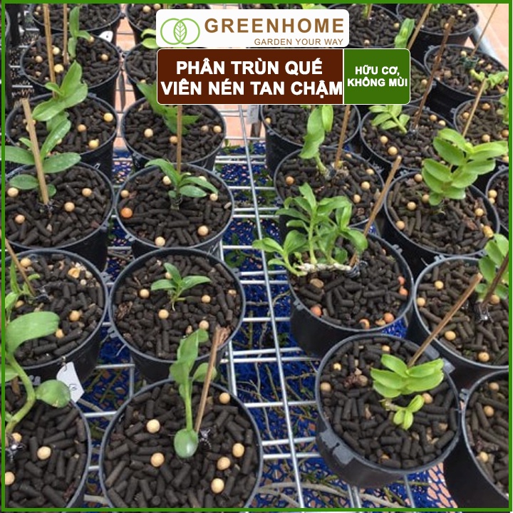 Bộ 2 Phân Trùn quế viên nén Sfarm, bao 1kg, nguyên chất, chuyên bón hoa Lan, cây cảnh, bonsai |Greenhome