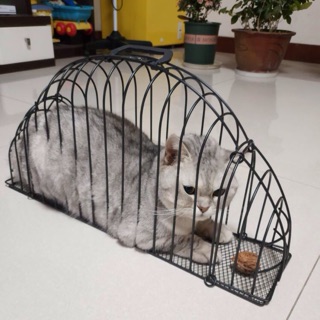 Chuồng mèo, lồng mèo di động