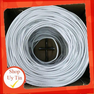 Dây mạng cat 5 30m 2 đầu nối