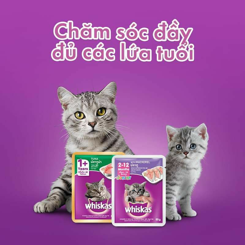 Pate Cho Mèo Lớn, Pate cho mèo con,  Whiskas1+ Whiskas junior  túi 80g vị Cá Ngừ, Cá Thu, Cá Biển.