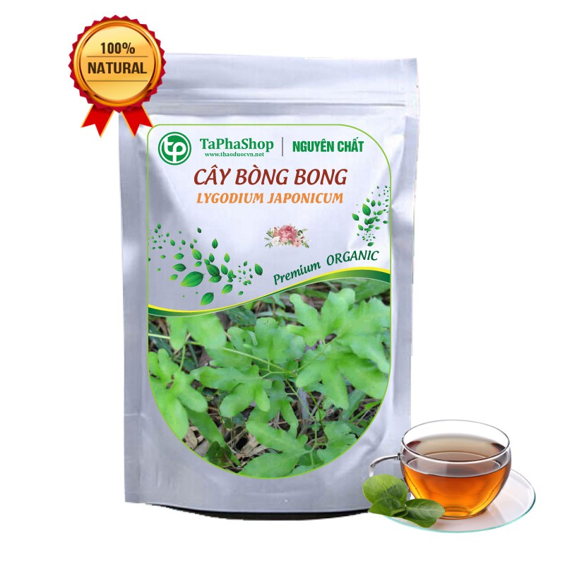 Cây bòng bong khô  - Tấn Phát